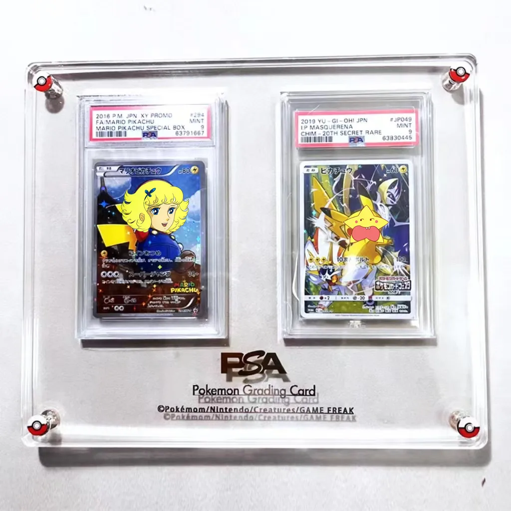 حامل عرض أكريليك سميك وشفاف لل - مراجعة Graded Card Display وسعره